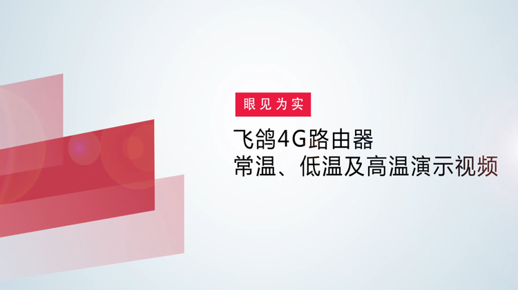 尊龙时凯飞鸽4G路由器常温、低温及高温演示视频